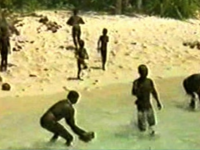 The Sentinelese have lived on their island for thousands of years and have no contact with the outside world. (Supplied: Survival International)